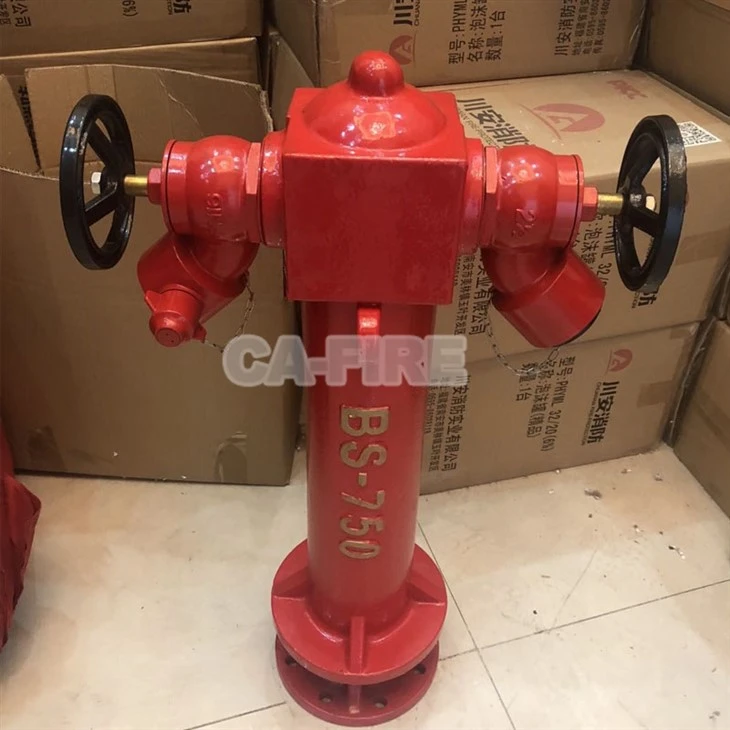 2 Way Fire Hydrant