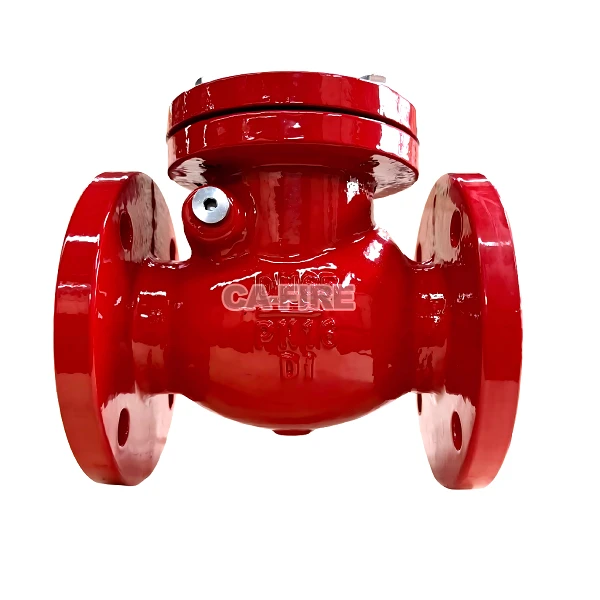 4 Inch Swing Check Valve