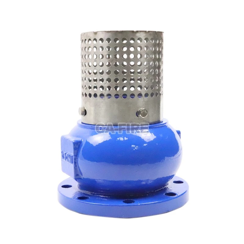 product-800-800